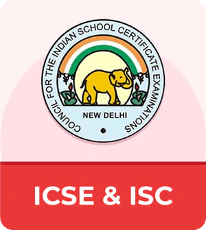 ICSE_62f5077d-c84e-4bd0-bd61-fdefd2f2741d